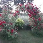 Aida Stare Budy (Grodzisk Mazowiecki)