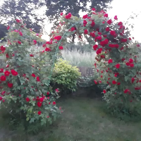 Aida Stare Budy (Grodzisk Mazowiecki)